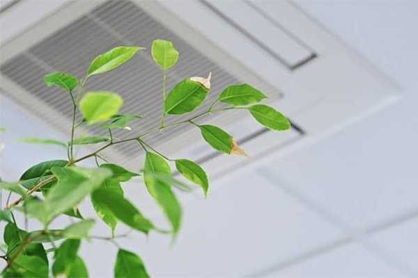 vvs amager – ventilation teknik indeklima 600 x 400 px vvs amager - ventilation teknik indeklima